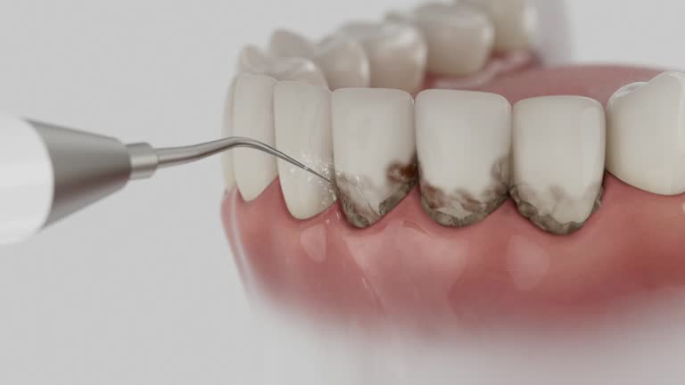 Reliable Dental contractor in Hamilton, OH by Dentist Open Now